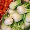 Mini Fennel 200g Pack - wholesale supplier | AgroFoods Global