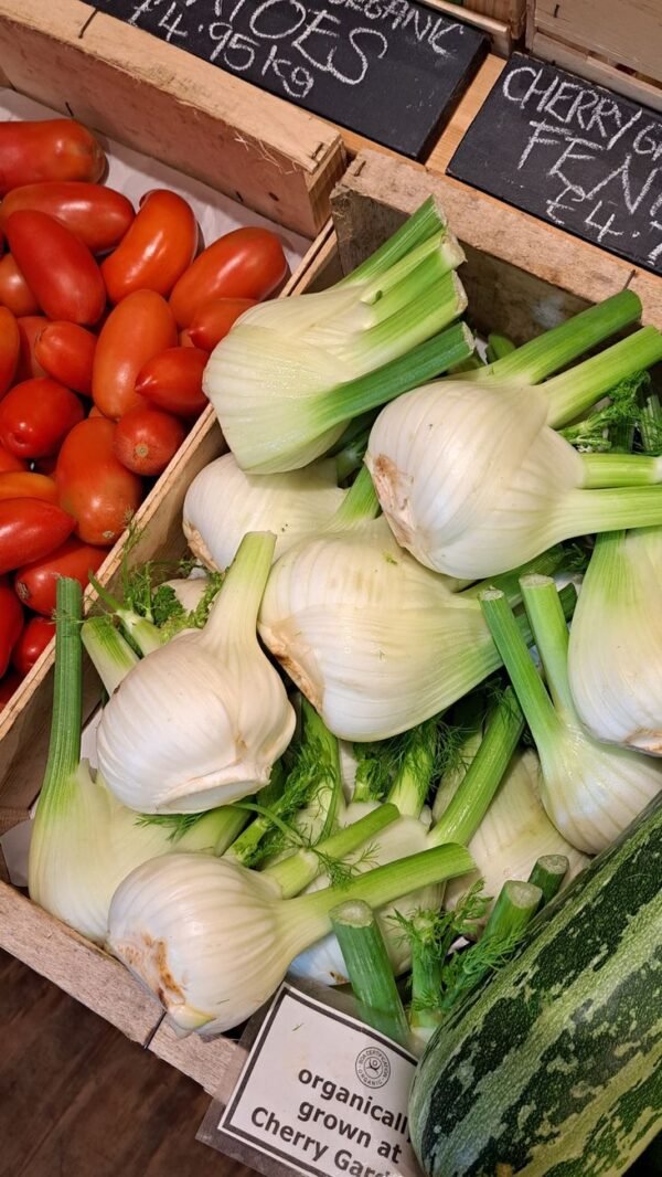 Mini Fennel 200g Pack - wholesale supplier | AgroFoods Global