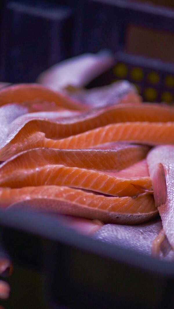Fillet — Bulk & Wholesale Supply Al Ajban Chicken Fillet 1kg UAE – Premium Fresh Chicken Breast Dubai Online - wholesale supplier | AgroFoods Global