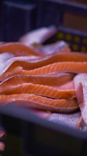 Wholesale Frozen Tilapia Fillets Supplier for - wholesale supplier | AgroFoods Global