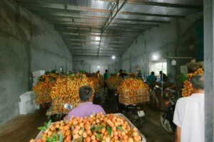 Various Flavors Of Sunflower Seeds Produced - wholesale supplier | AgroFoods Global