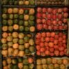 Lorena Fruity Fig, 250ml – Wholesale & Export UAE - wholesale supplier | AgroFoods Global