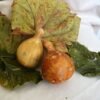 Ash Pumpkin (Kaddu) UAE – Fresh Ash Gourd White Pumpkin Dubai Wholesale - wholesale supplier | AgroFoods Global