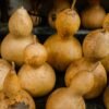 Tindly UAE – Fresh Ivy Gourd Indian Vegetable Dubai - wholesale supplier | AgroFoods Global
