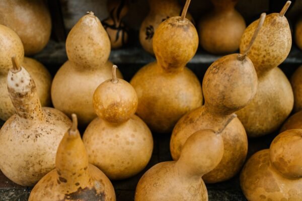 Tindly UAE – Fresh Ivy Gourd Indian Vegetable Dubai - wholesale supplier | AgroFoods Global