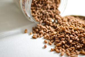 Manufacturer Export High Quality Good Price - wholesale supplier | AgroFoods Global