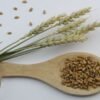 Premium Quality Moulin Grains Manufacturer s - wholesale supplier | AgroFoods Global
