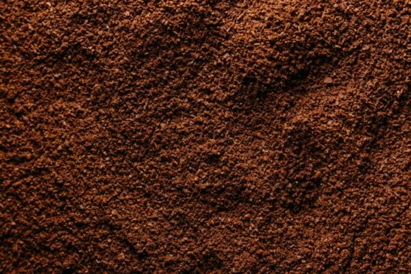 High Quality Bulk Fresh Ground Black - wholesale supplier | AgroFoods Global