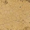 Wholesale Spices Factory Direct Sales Ground - wholesale supplier | AgroFoods Global