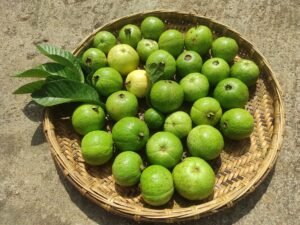 Guava Plum Green Thailand 1 kg - wholesale supplier | AgroFoods Global