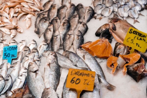 Hake — Bulk & Wholesale Supply Frozen Hake Hgt HGT High Quality - wholesale supplier | AgroFoods Global