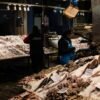Hake — Bulk & Wholesale Supply Frozen Hake Fish Whole Round Factory - wholesale supplier | AgroFoods Global