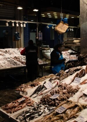 Frozen Hake Fish Whole Round Factory - wholesale supplier | AgroFoods Global