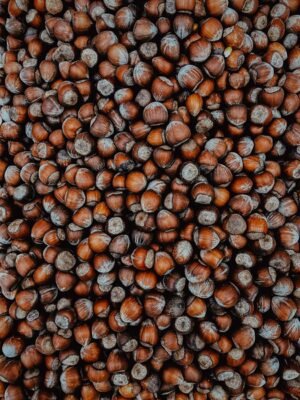Hazelnut &&;&&;;&&;&&;;; Nougat Protein Bar 55g - wholesale supplier | AgroFoods Global