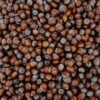 Bio Dark Chocolate With Whole Hazelnuts 200g – Wholesale & Export UAE - wholesale supplier | AgroFoods Global