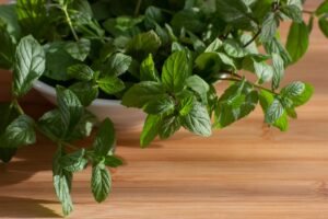 Single Spices Herbs Crushed Dried Red - wholesale supplier | AgroFoods Global