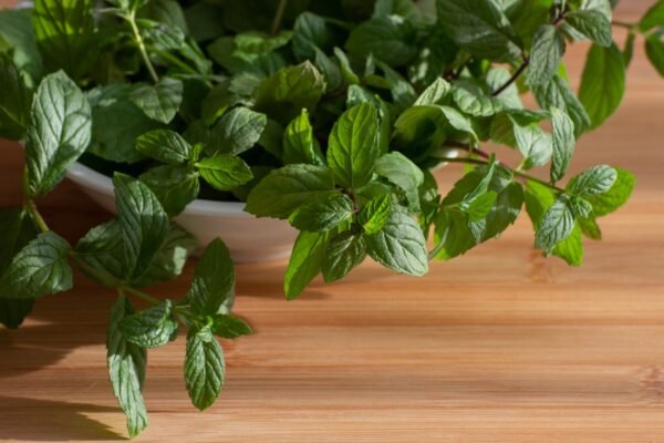 Single Spices Herbs Crushed Dried Red - wholesale supplier | AgroFoods Global