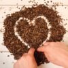 Organic Certified Hulled White Indian Sesame - wholesale supplier | AgroFoods Global