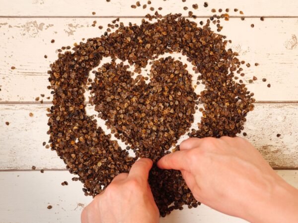 Organic Certified Hulled White Indian Sesame - wholesale supplier | AgroFoods Global