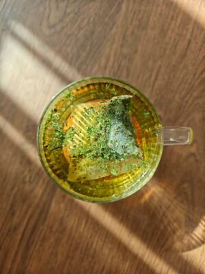 Lipton Herbal Infusion Tea Anise 20 Teabags – Wholesale & Export UAE - wholesale supplier | AgroFoods Global