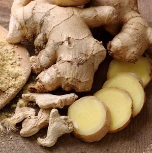 Wholesale ginger for bulk supply and export