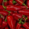 Jalapeno — Bulk & Wholesale Supply Al Kabeer Jalapeno and Cheese Sticks, 250g – Wholesale & Export UAE - wholesale supplier | AgroFoods Global