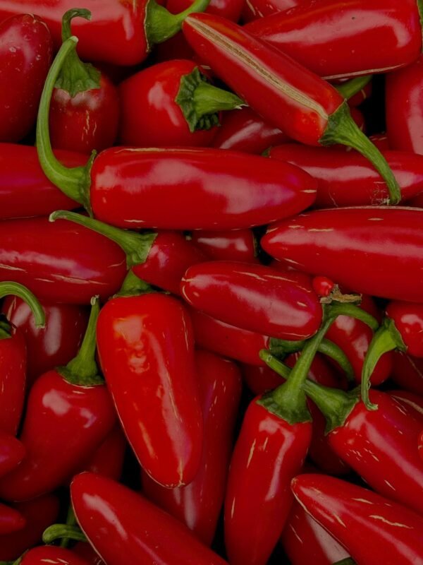 Jalapeno — Bulk & Wholesale Supply Al Kabeer Jalapeno and Cheese Sticks, 250g – Wholesale & Export UAE - wholesale supplier | AgroFoods Global