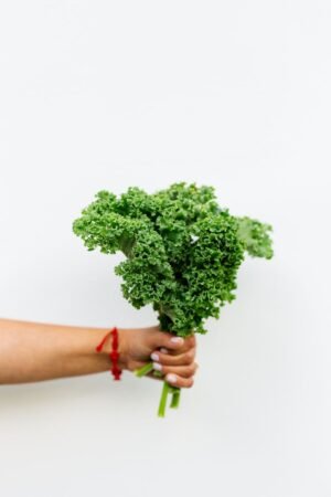 Kale Spain - wholesale supplier | AgroFoods Global