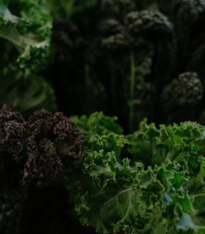 Curly Kale UAE – Fresh Organic Kale Wholesale & Retail Supply Dubai - wholesale supplier | AgroFoods Global