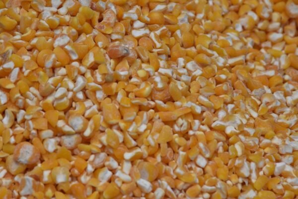 Hot Sale IQF Whole Kernel Frozen - wholesale supplier | AgroFoods Global
