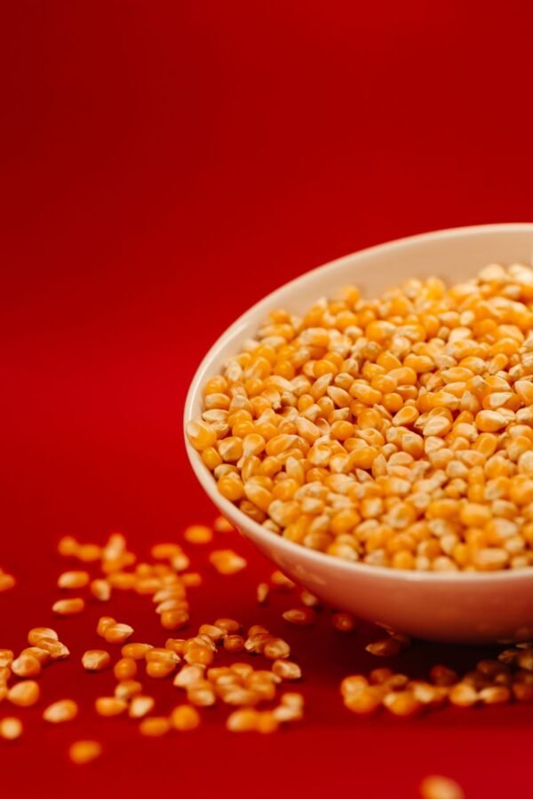 IQF Sweet Corn Kernels Bulk Wholesale - wholesale supplier | AgroFoods Global