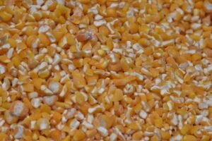 Organic Raw Dried Sunflower Kernels Top - wholesale supplier | AgroFoods Global
