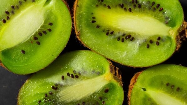 Kiwi UAE – Premium Fresh Kiwi Fruit Dubai - wholesale supplier | AgroFoods Global