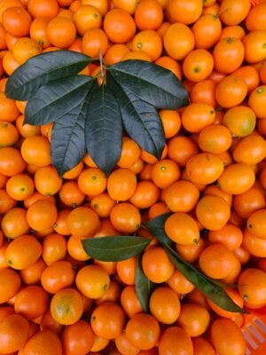 Kumquat — Bulk & Wholesale Supply Kumquat - wholesale supplier | AgroFoods Global