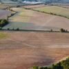 Land — Bulk & Wholesale Supply High Quality Land Frozen Whole Round - wholesale supplier | AgroFoods Global