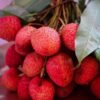 Lechao — Bulk & Wholesale Supply Lechao Candy Factory Custom Mix Fruit - wholesale supplier | AgroFoods Global