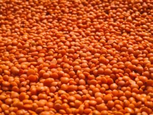 Mr. Organic Lentils 400g – Wholesale & Export UAE - wholesale supplier | AgroFoods Global