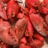 Lobster — Bulk & Wholesale Supply Frozen HOSO Slipper Lobster High Quality - wholesale supplier | AgroFoods Global