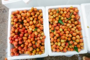 Lychees 500g UAE – Fresh & Juicy Lychee Fruit Dubai - wholesale supplier | AgroFoods Global