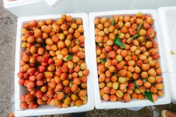 Lychees — Bulk & Wholesale Supply Lychees 500g UAE – Fresh & Juicy Lychee Fruit Dubai - wholesale supplier | AgroFoods Global