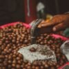 Macadamia Nuts - wholesale supplier | AgroFoods Global