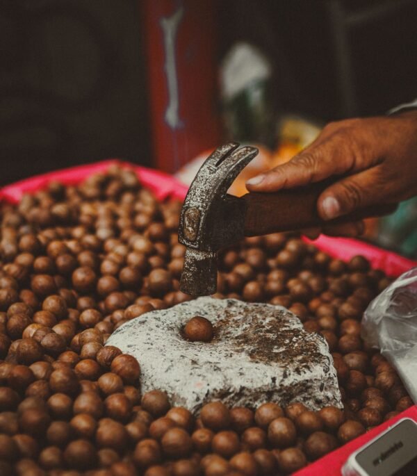 Macadamia Nuts - wholesale supplier | AgroFoods Global