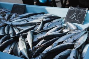 Factory Best Price Best Canned Mackerel - wholesale supplier | AgroFoods Global