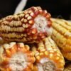 Yellow Corn Maize for Sale for - wholesale supplier | AgroFoods Global