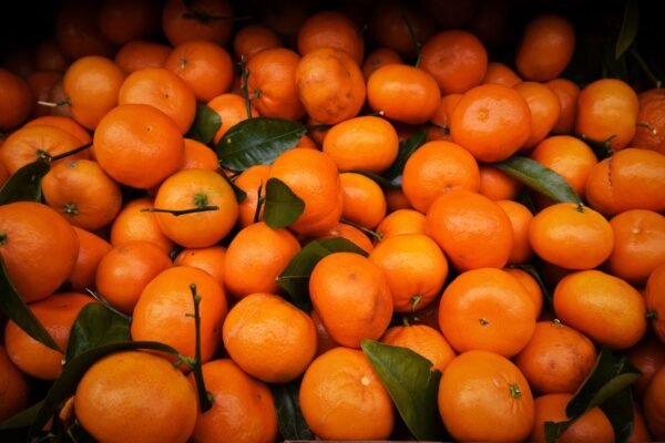 Mandarin Nadorcott UAE – Premium Seedless Mandarins Dubai AED 8.50/kg - wholesale supplier | AgroFoods Global