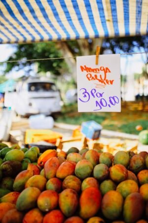 Mangoes — Bulk & Wholesale Supply Mango Green UAE – Fresh Unripe Green Mangoes Wholesale Supplier Dubai - wholesale supplier | AgroFoods Global