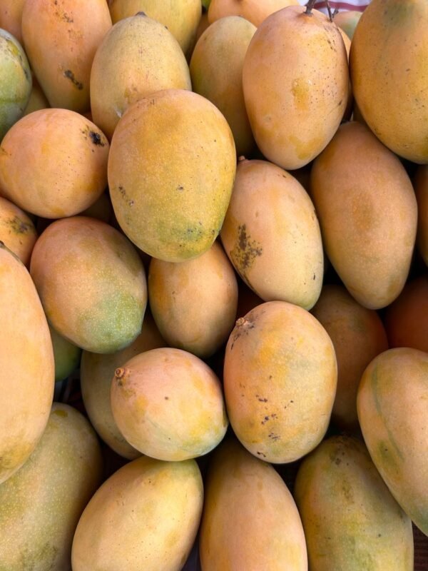 Mango R2E2 UAE – Premium Australian & Vietnamese Mangoes Dubai - wholesale supplier | AgroFoods Global