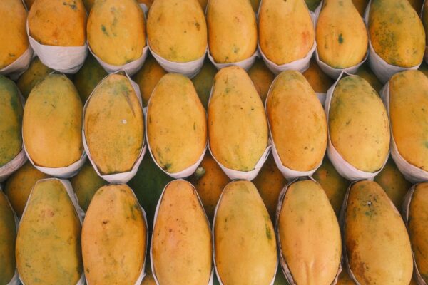 China Exquisite Fresh Tropical Mangoes Sweet and Juicy Delight - wholesale supplier | AgroFoods Global