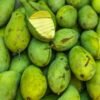 Mango Palmer UAE – Fresh Brazilian Palmer Mangoes Wholesale Supplier Dubai - wholesale supplier | AgroFoods Global
