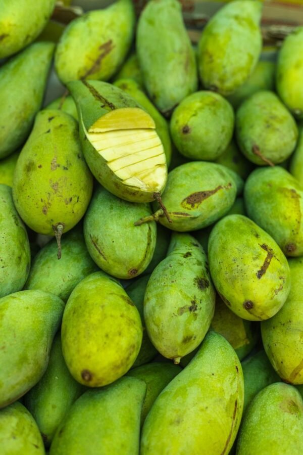 Mango Palmer UAE – Fresh Brazilian Palmer Mangoes Wholesale Supplier Dubai - wholesale supplier | AgroFoods Global